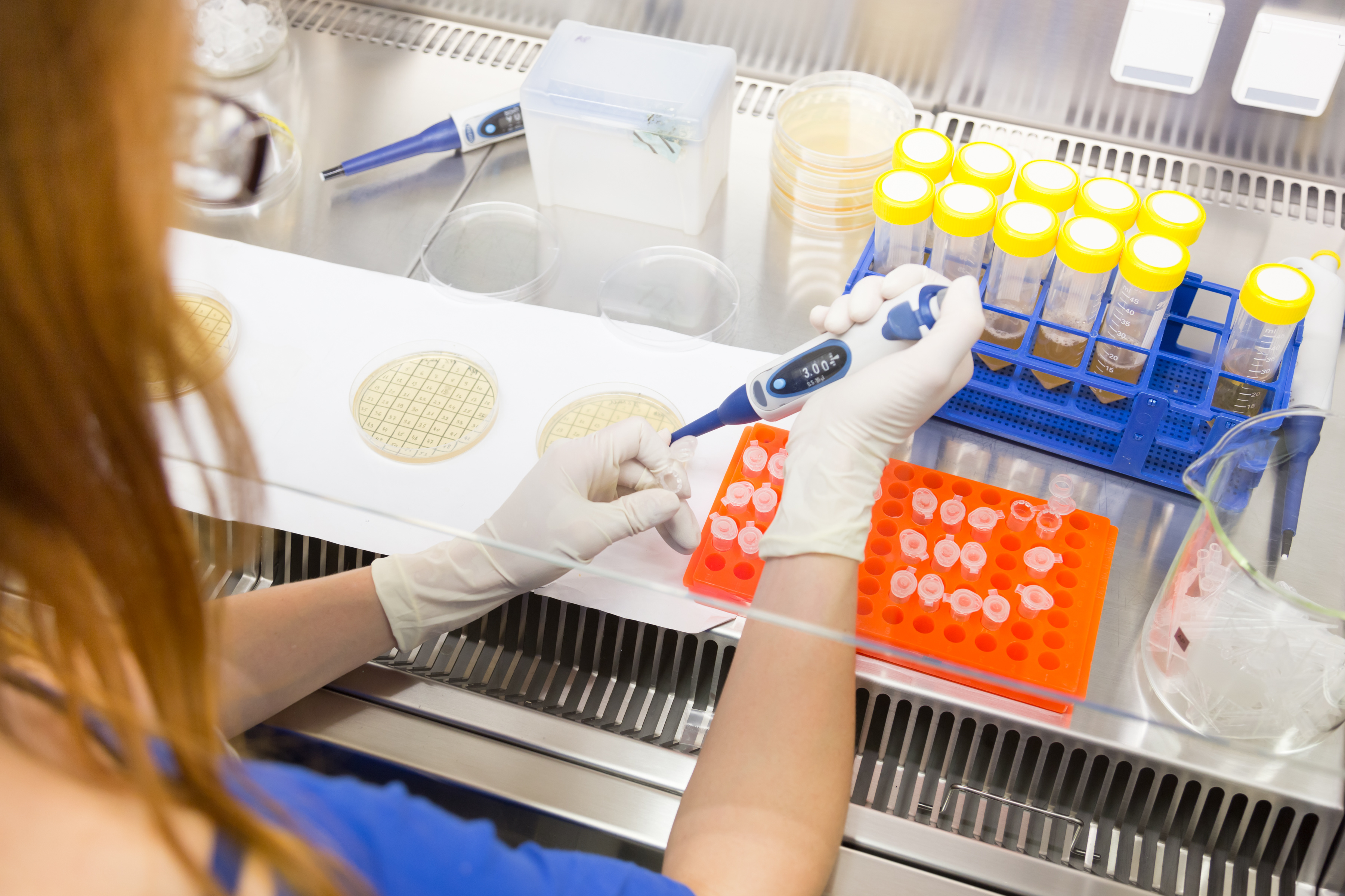     دستگاه    Real-Time PCR